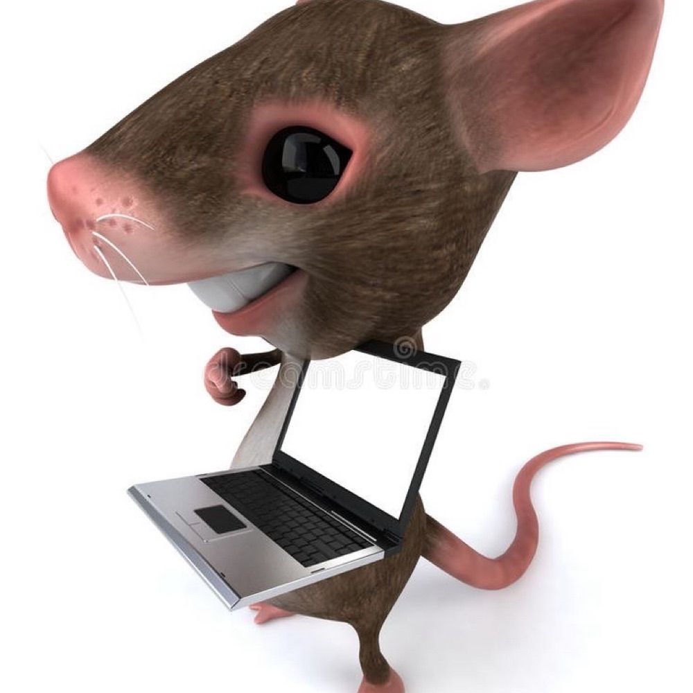 Ratão Cabeção