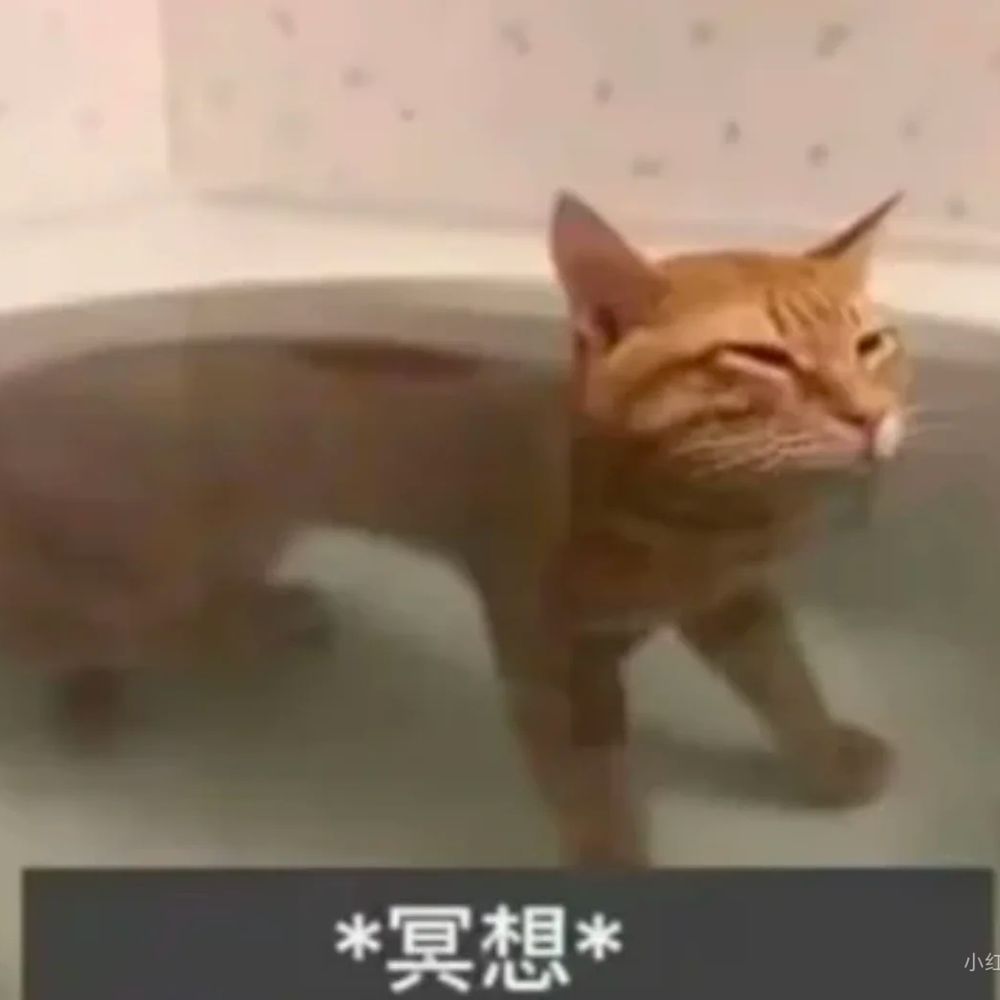 衿