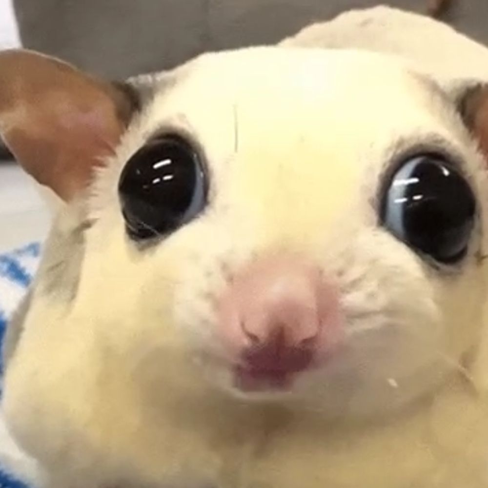 Mal