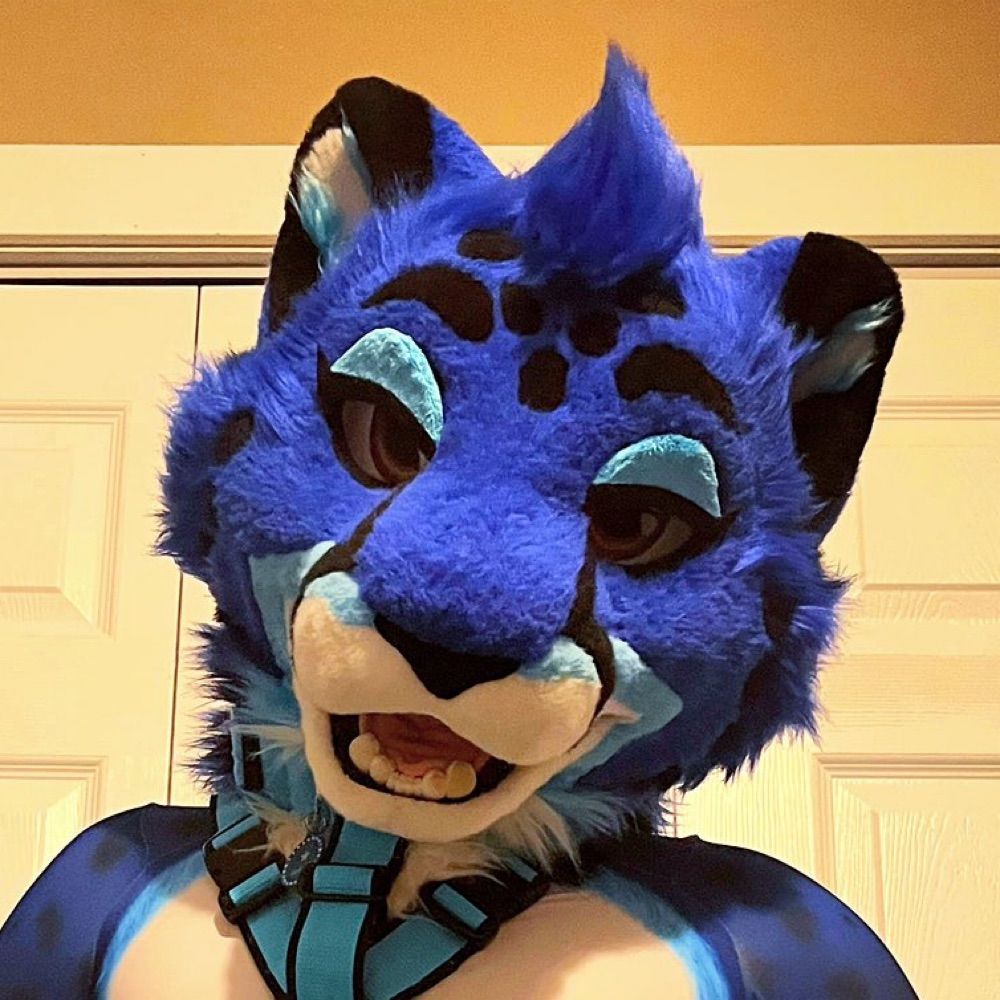 Locked Bitchcat 🔒🐱