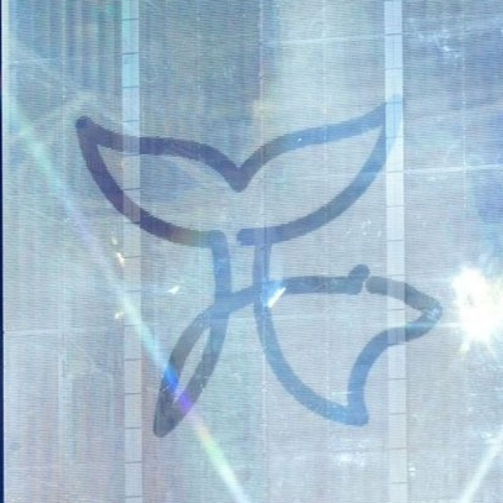 Owl.P