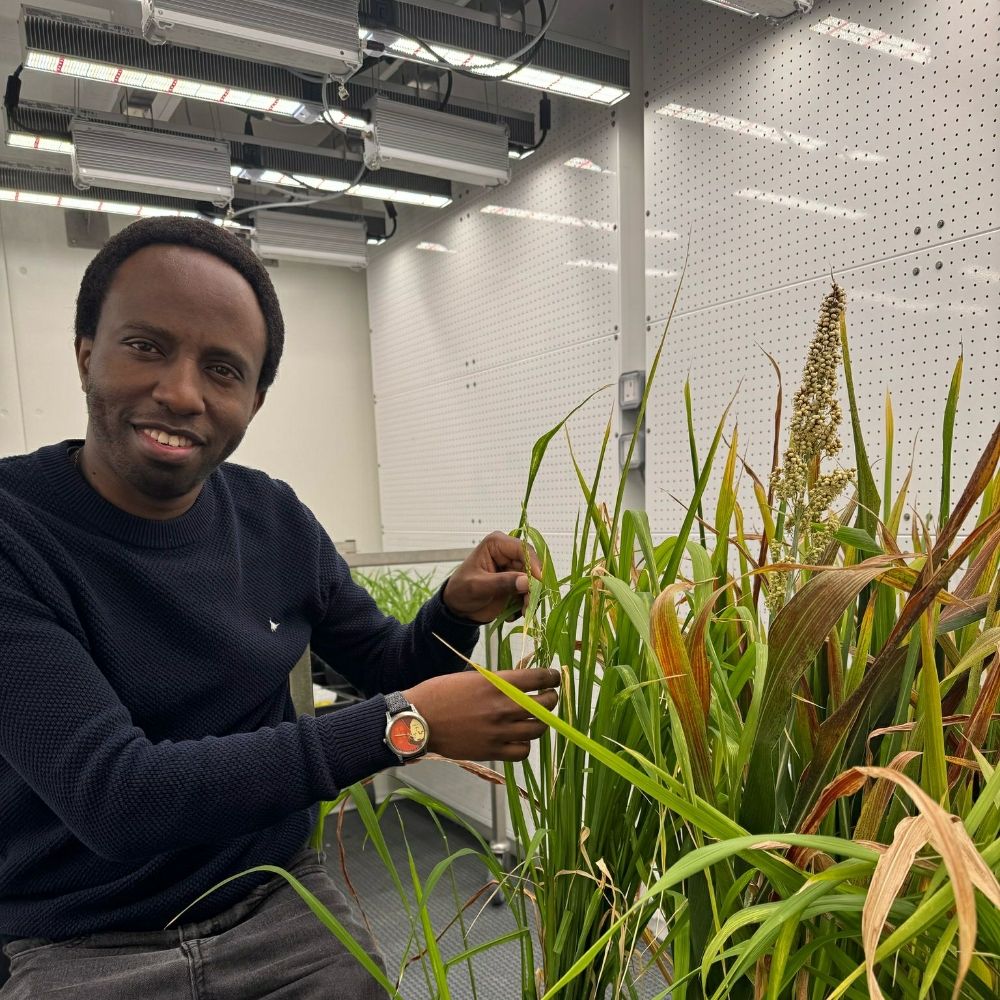 Crispus Mbaluto
