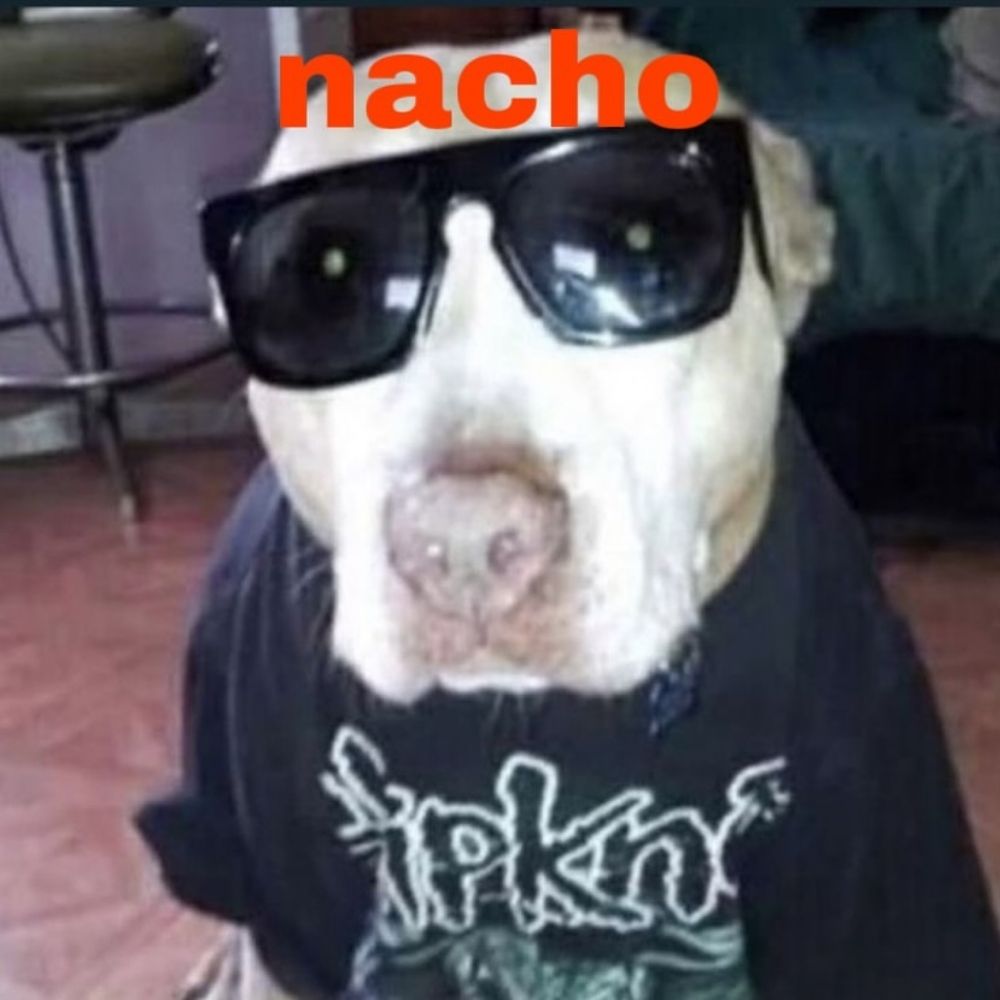 nacho