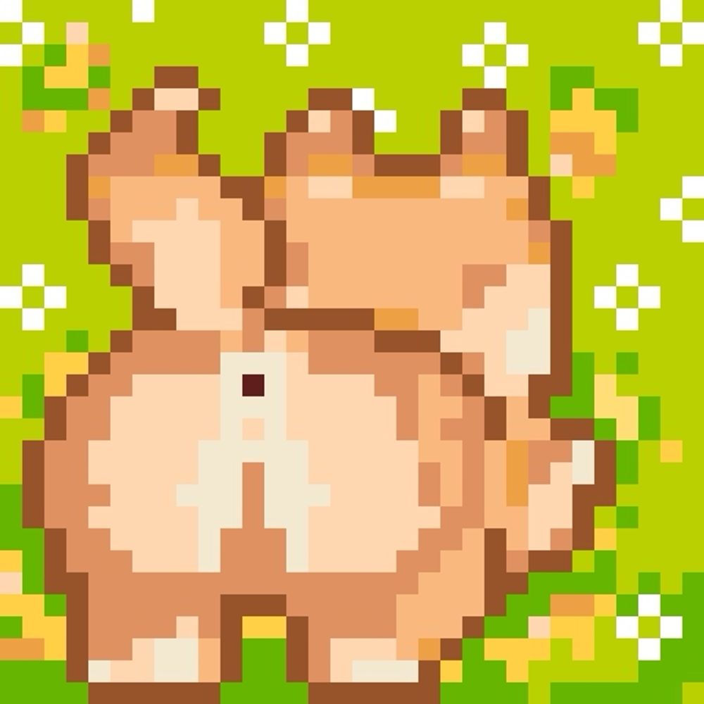 あんこ