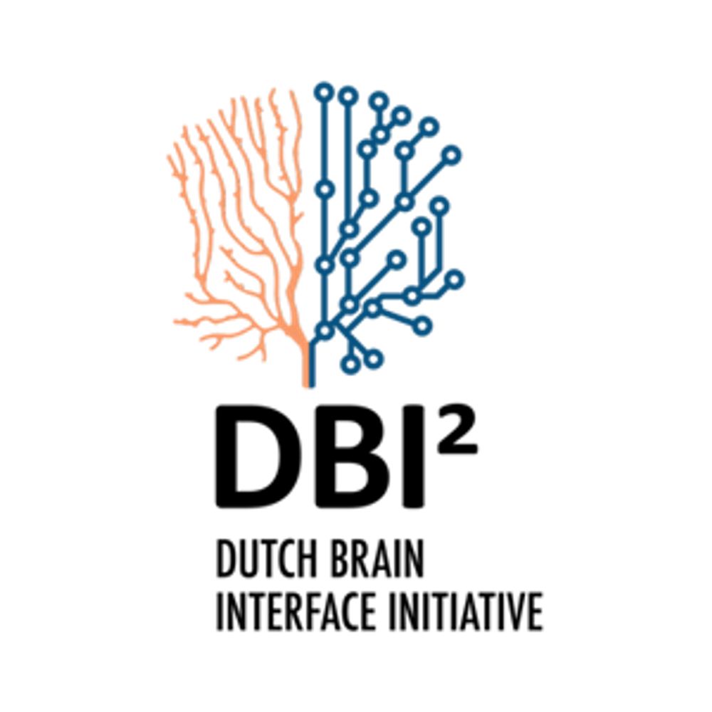 Dutch Brain Interface Initiative