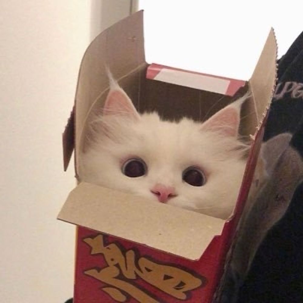 cc