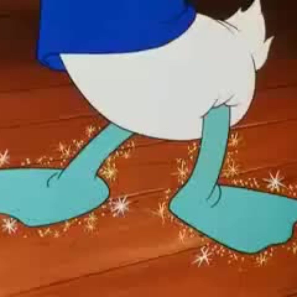 NoYoa