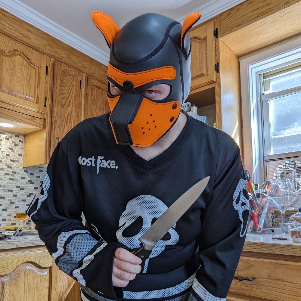 Maxxxthehorrorpup 