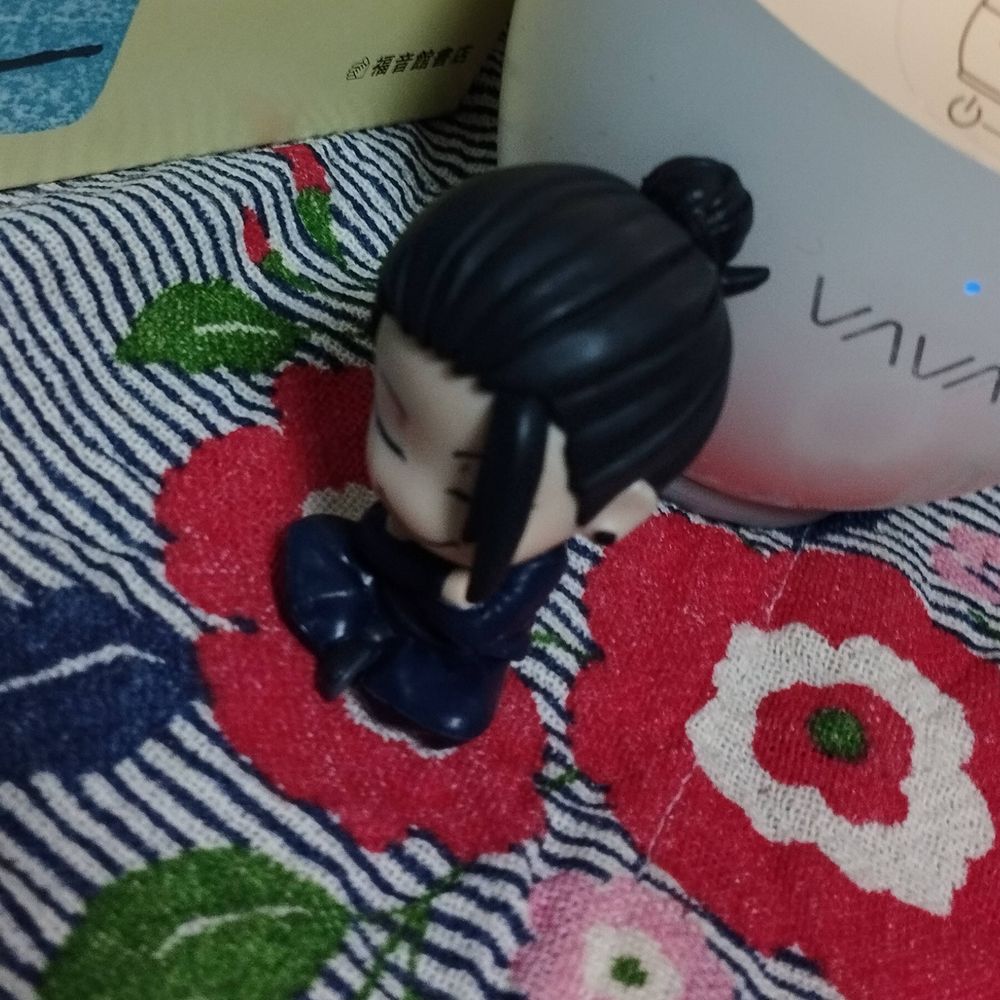 ふゆけし