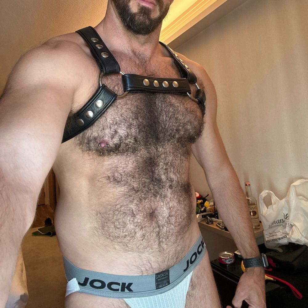 Chest Fur Sir