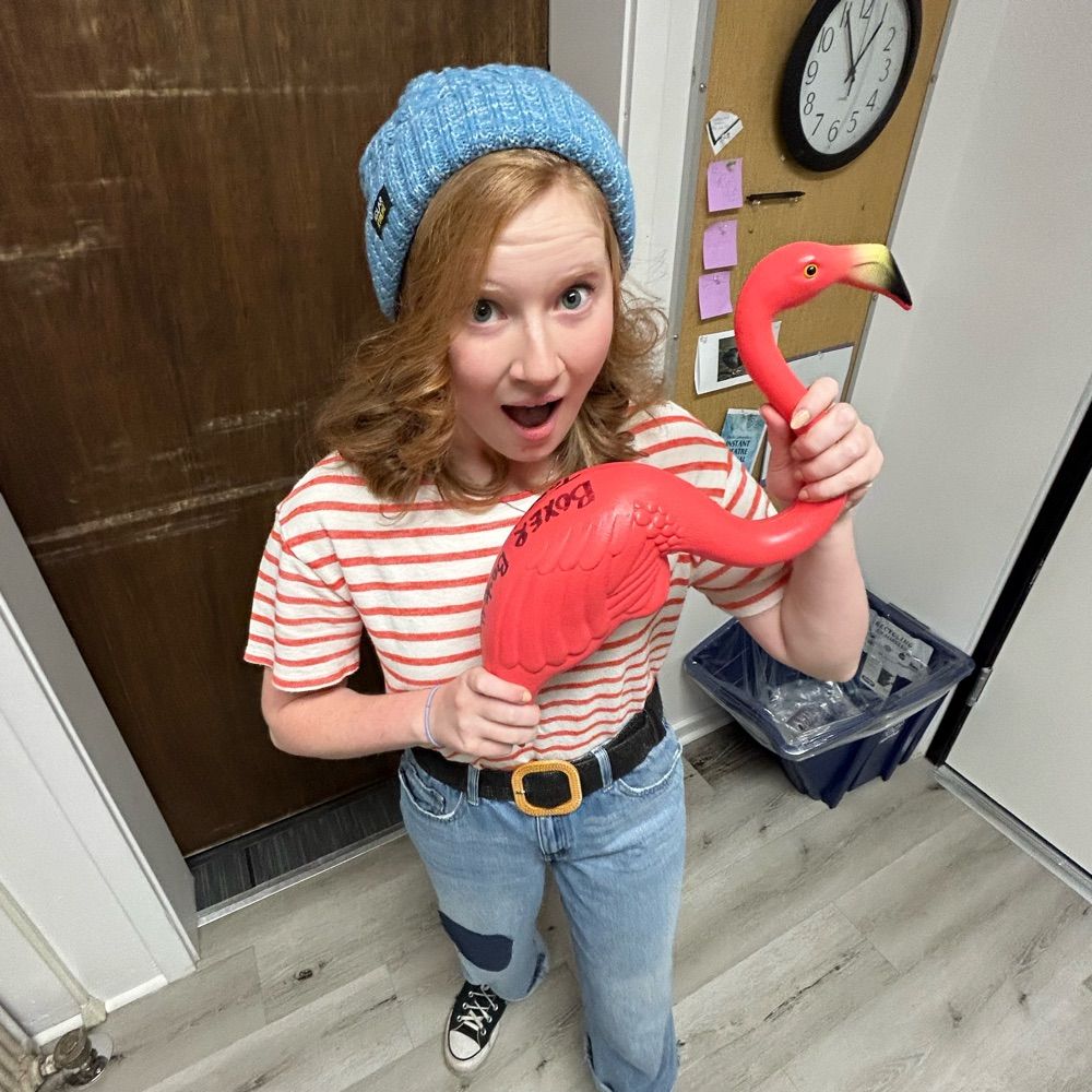 parrot