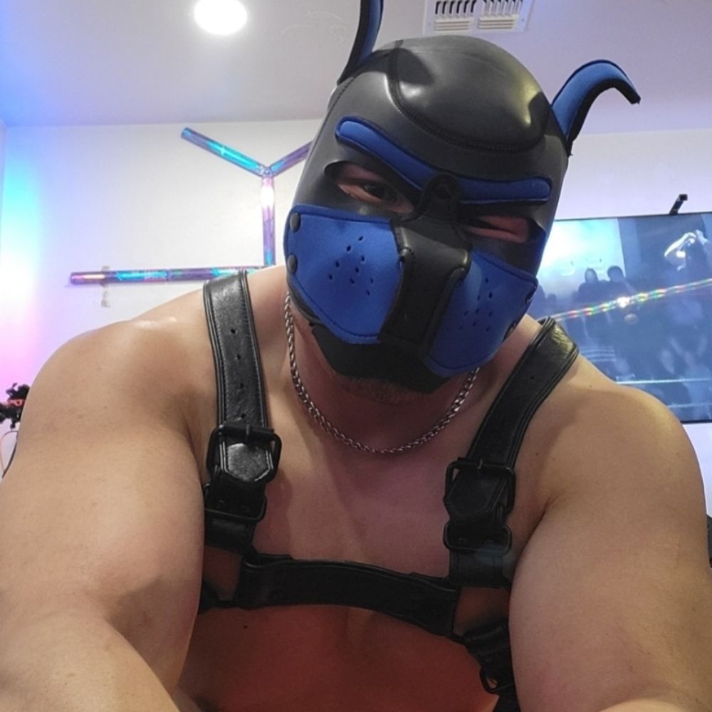 Pup Kobe / Tiger Moo Pup