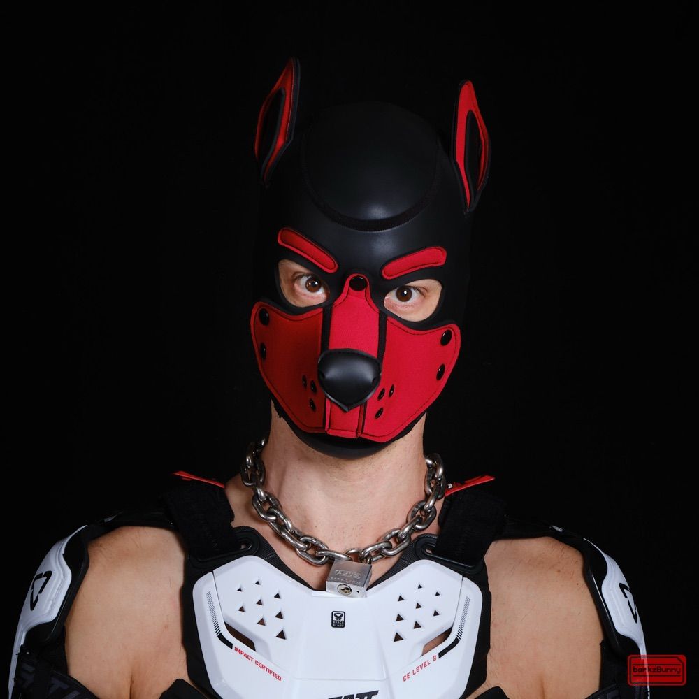 barkzBunny