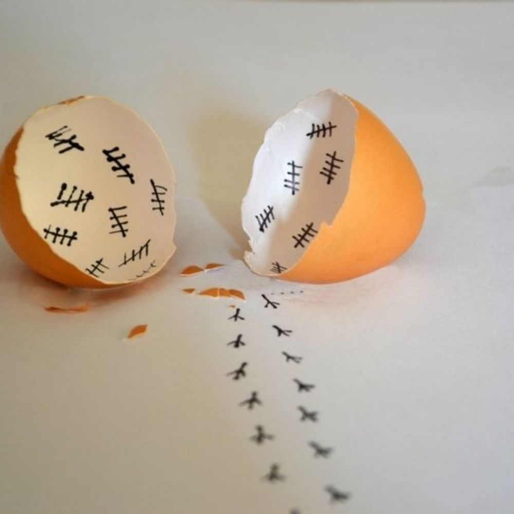 🐣🥚🐣