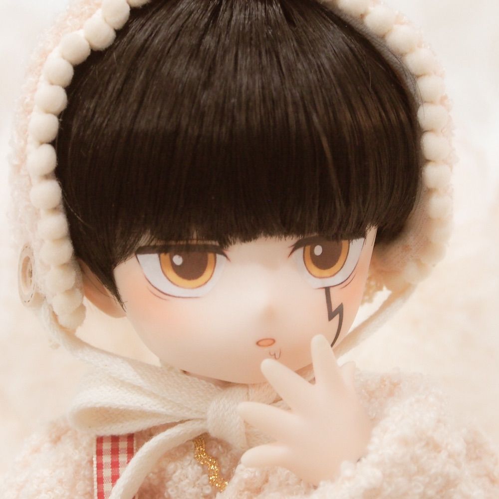 🤍ー 𝕆ℂ𝔸🪿✨