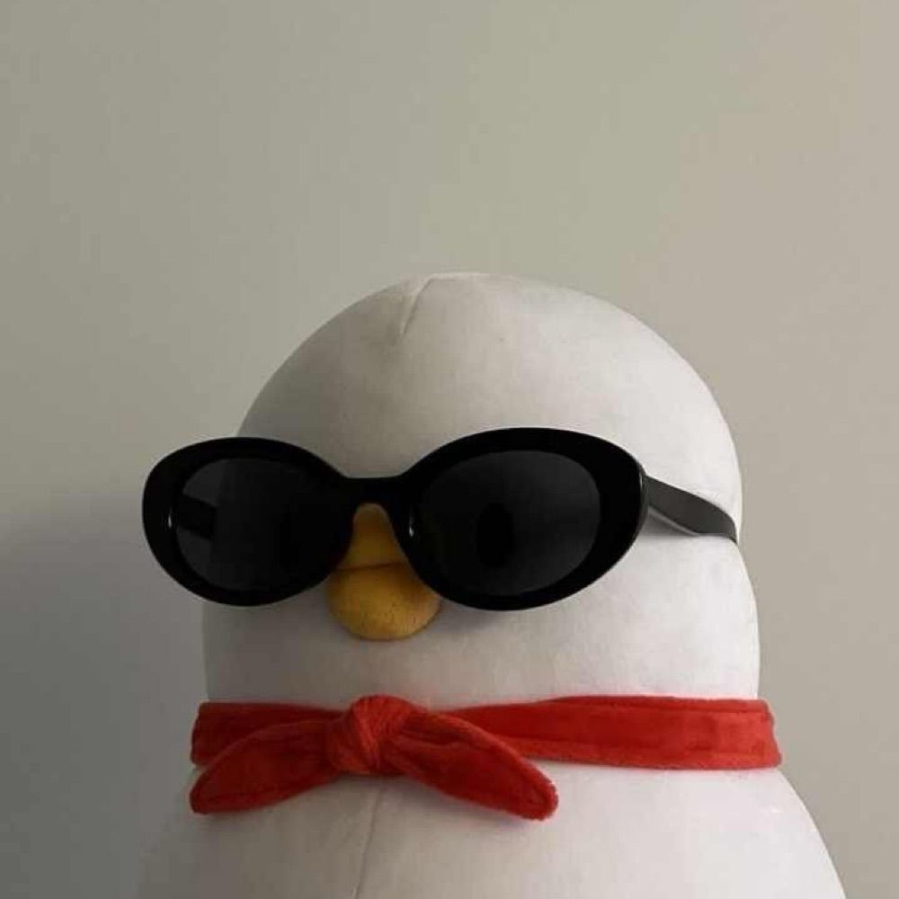 Y