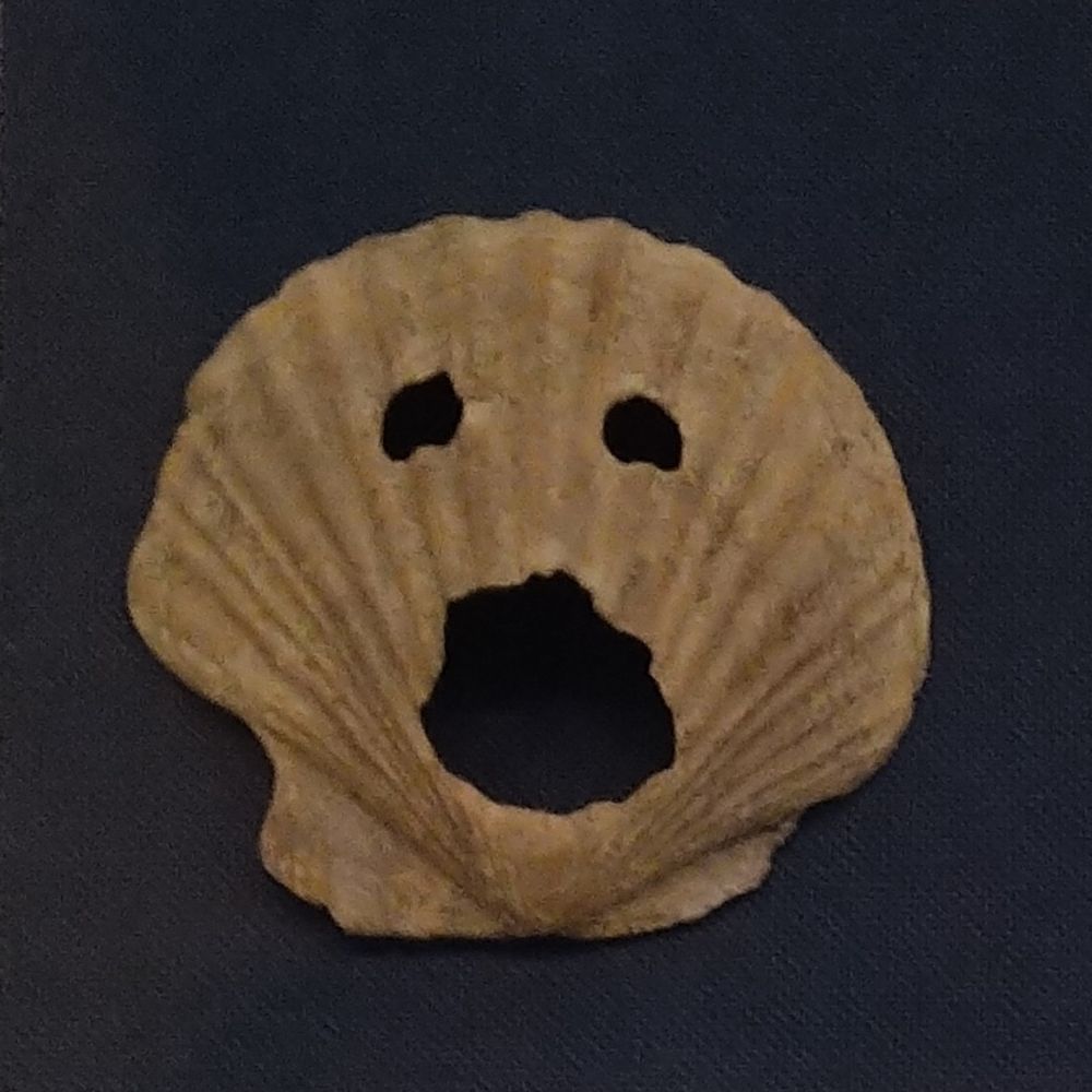 しおのや