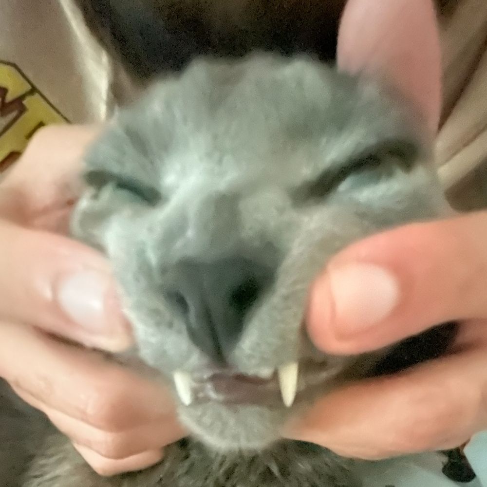 E-lo
