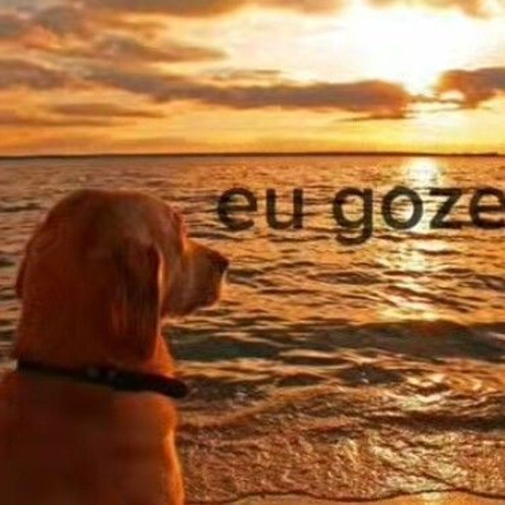 ikaralho