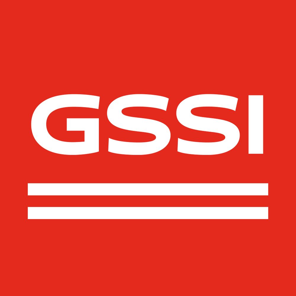 The New School GSSI