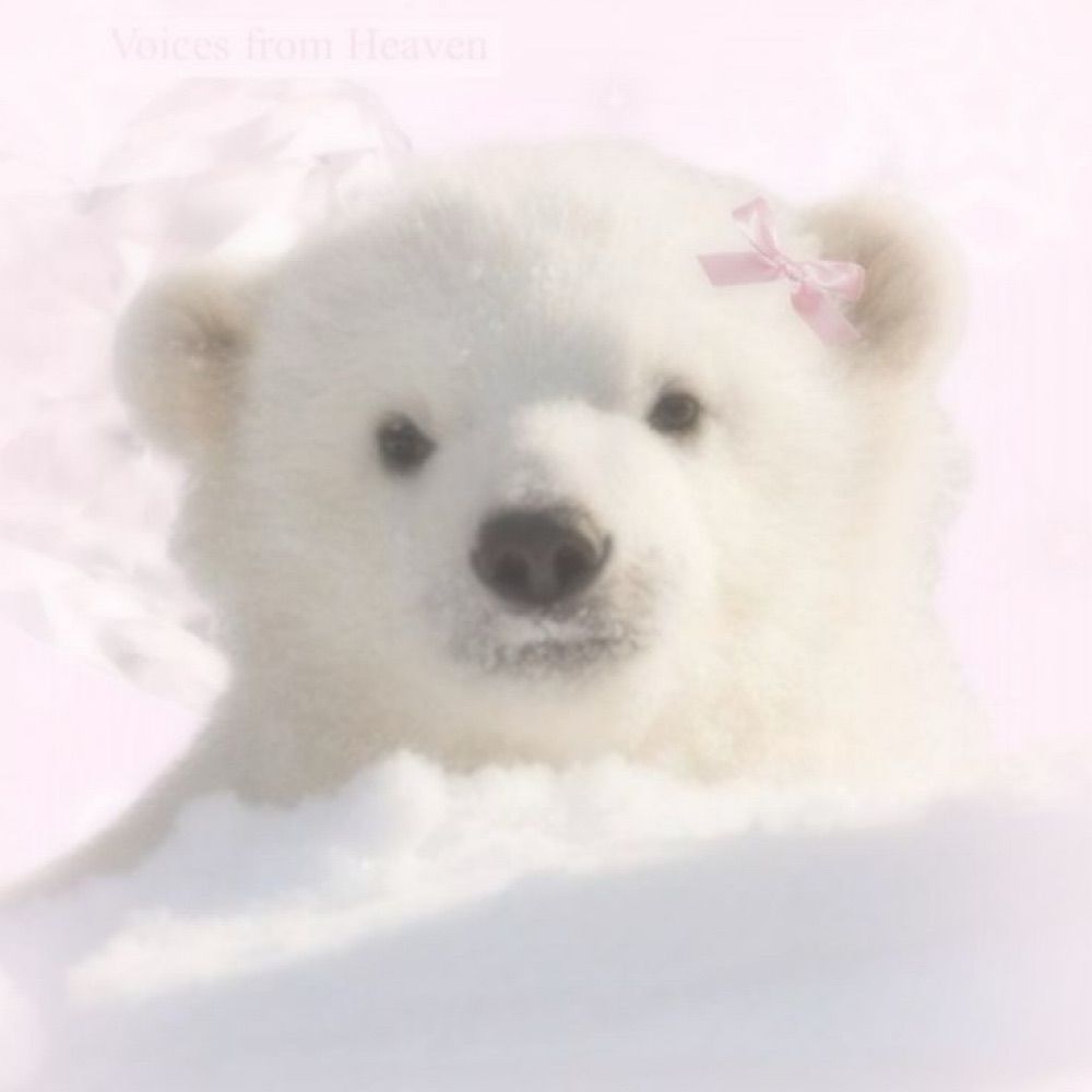 ⛄️💗