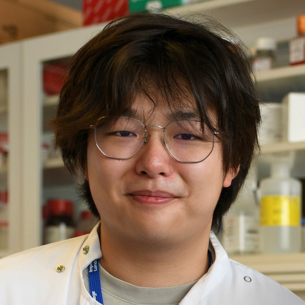 Xiangrong Louis Lu