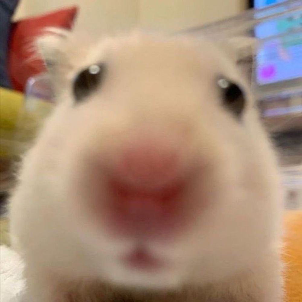로아