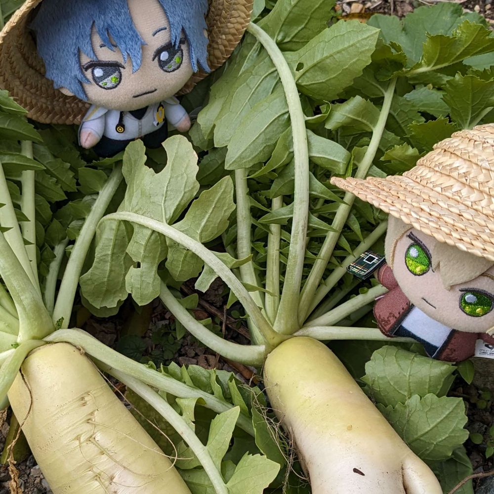 れものど