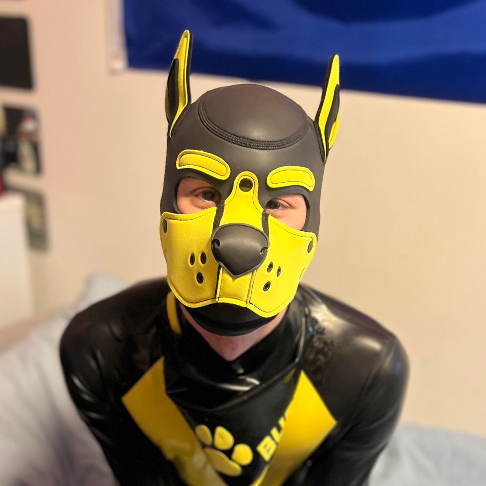 Yellow Latex Pup