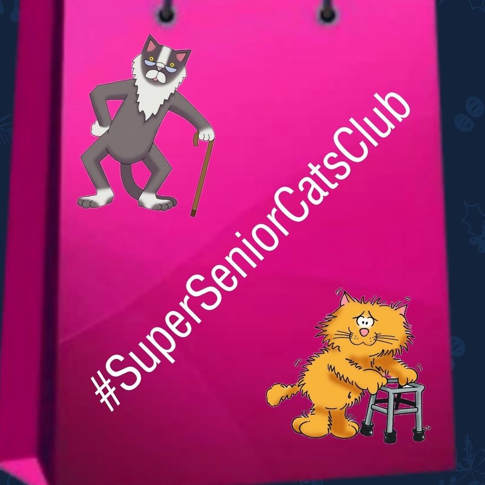 Super Senior Cats Club