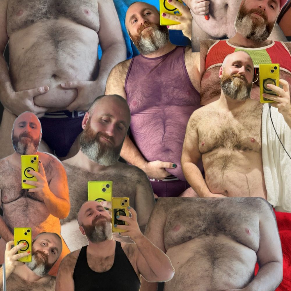 HairyBearyHomo 🇦🇺🐻🏳️‍🌈