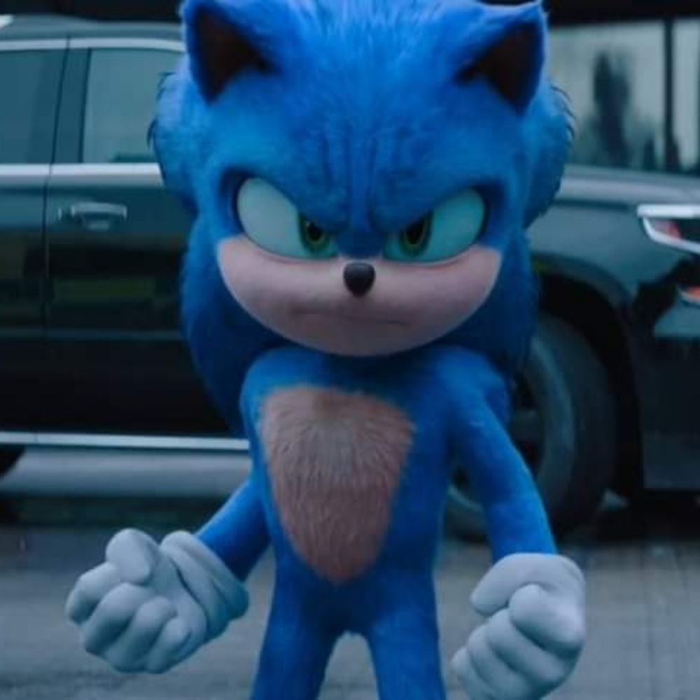 Sonic Fan MX