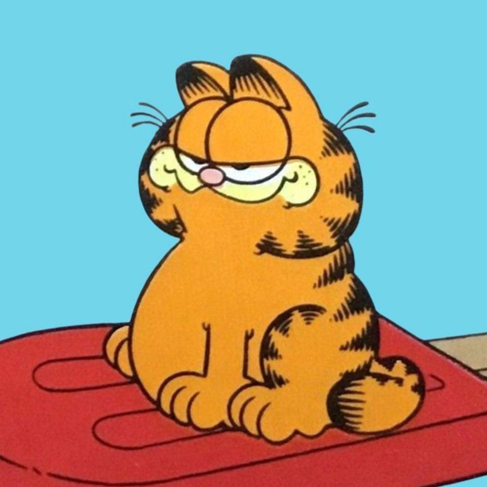 GARFIELD DAILY