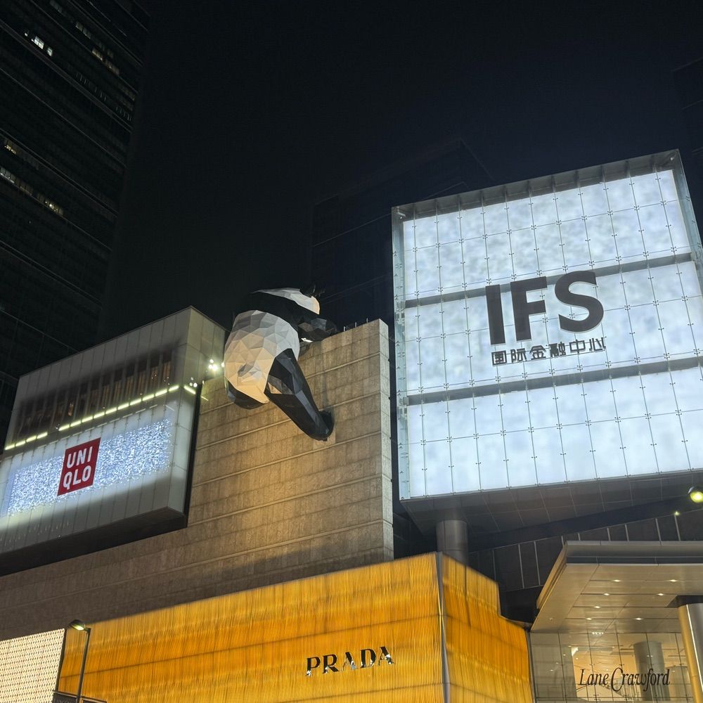 成都睡不醒