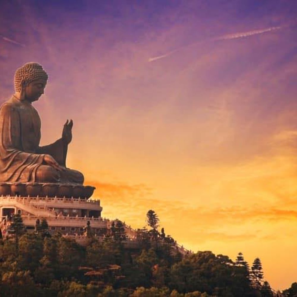 Rose City Rebel Dhamma