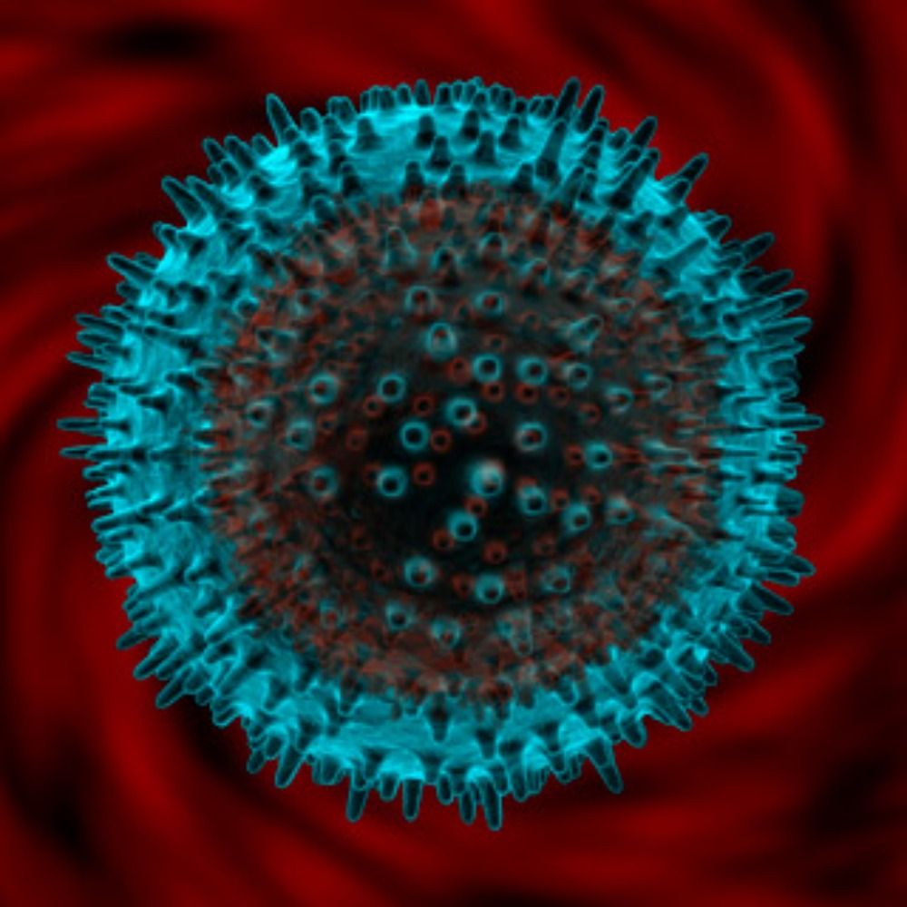 Clonal Antibody 🌹's avatar