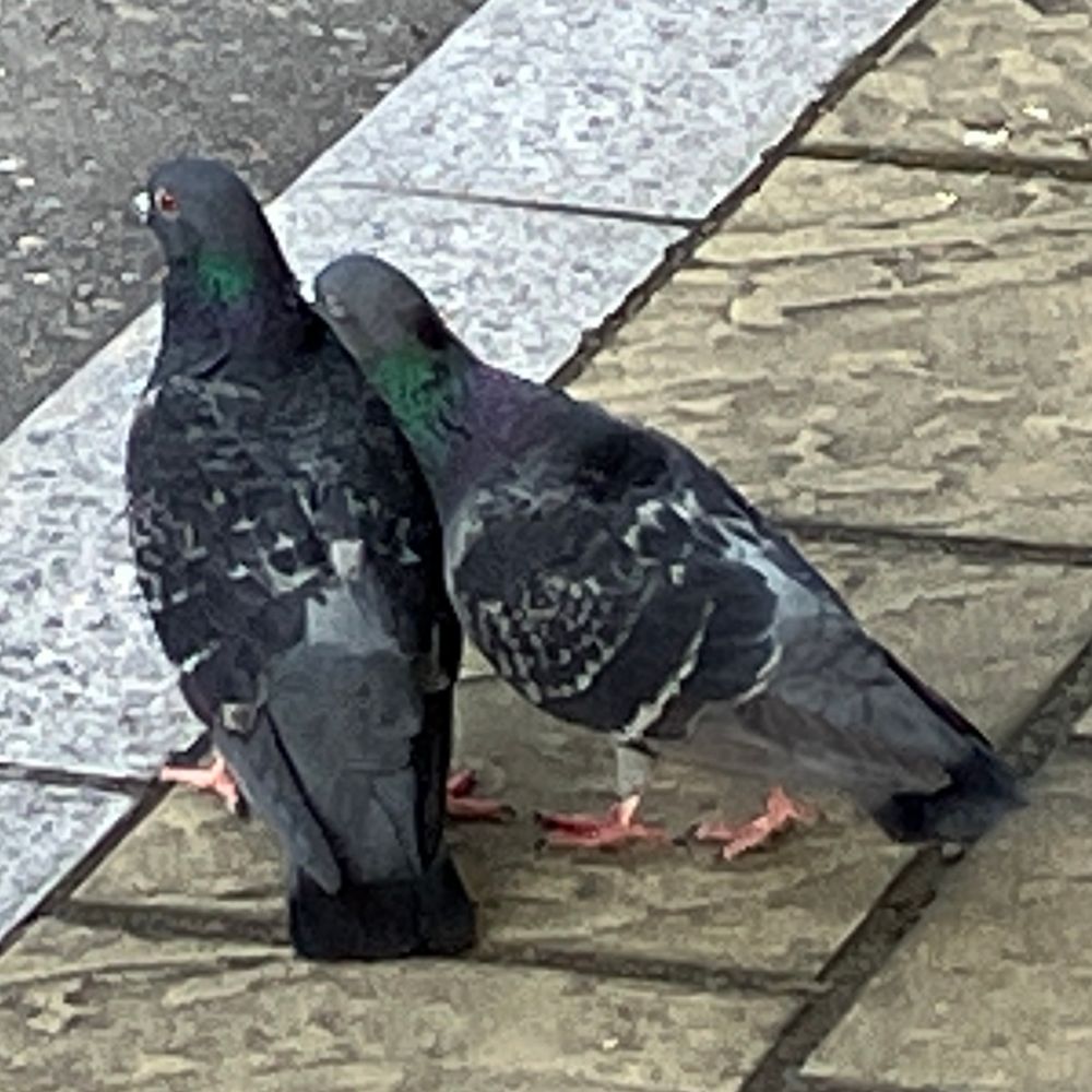 ちくびの穴にちくびを挿れる