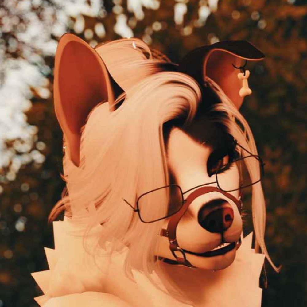 Doogy Husky