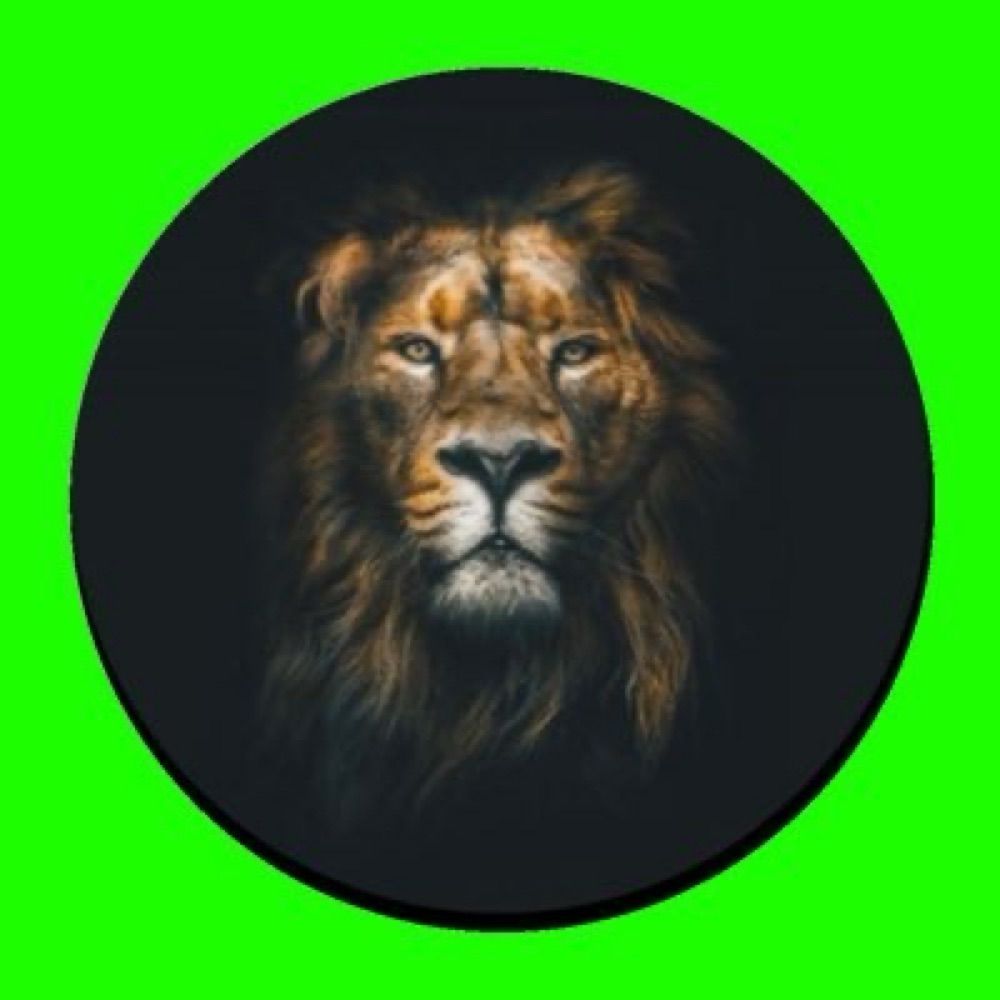 Lions Enclosure