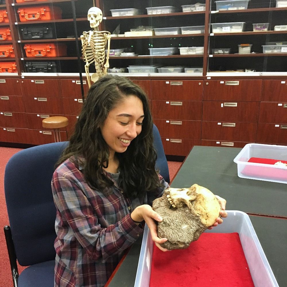 Amanda Rossillo, PhD