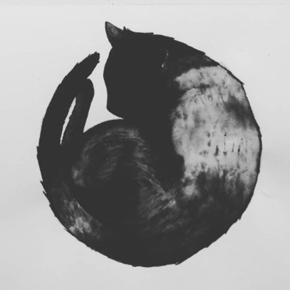 La Fille du Chat Noir