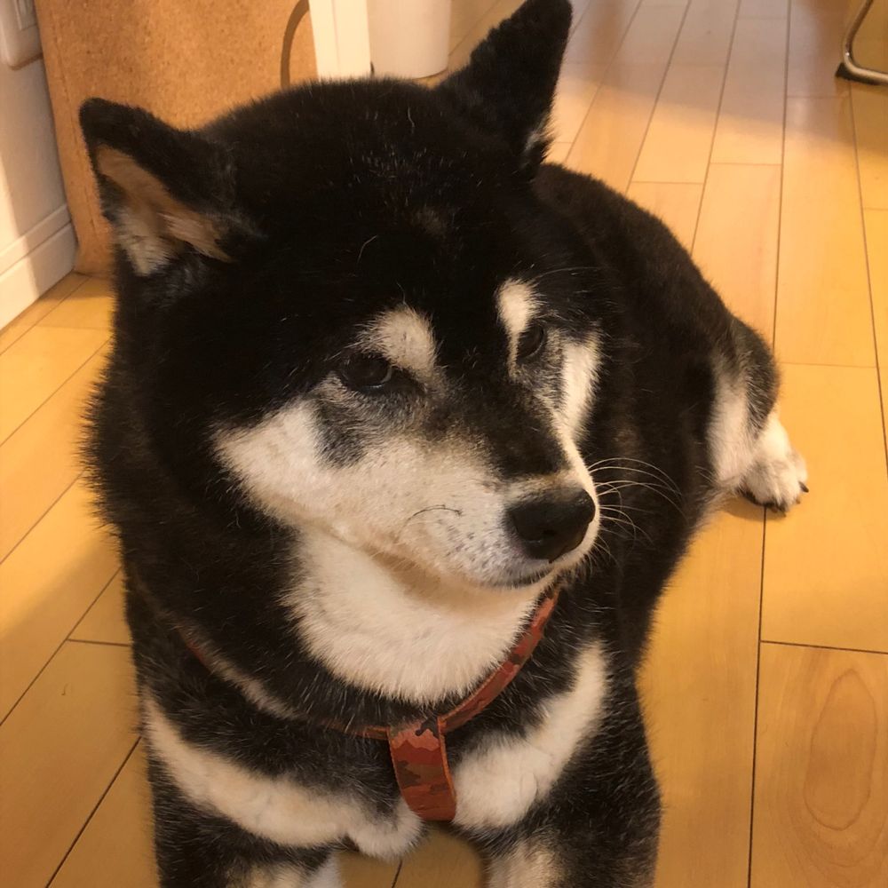 りで