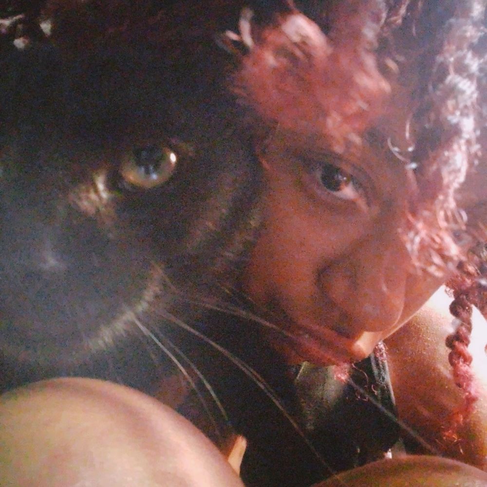 kito