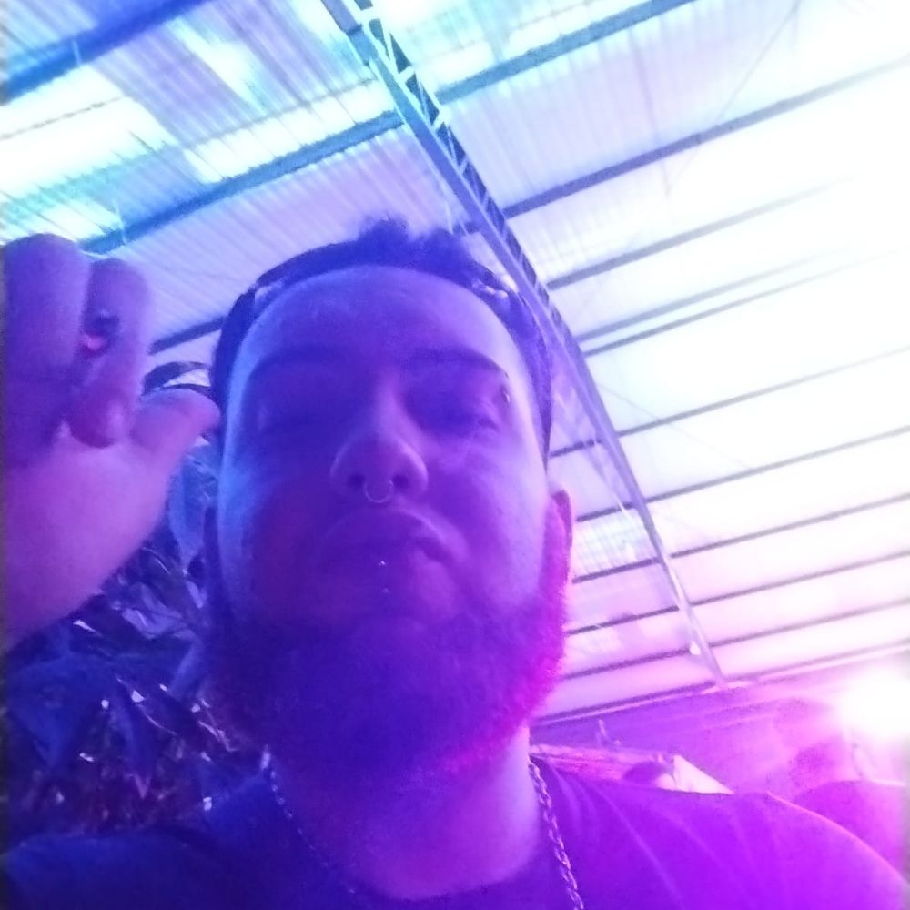 Lorenzinho de novo