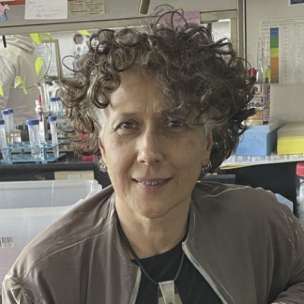 GamarnikLab