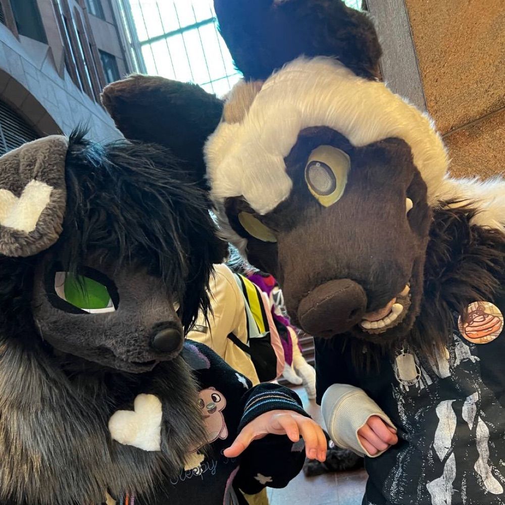 Casimir 🧇 [stinky yeen]