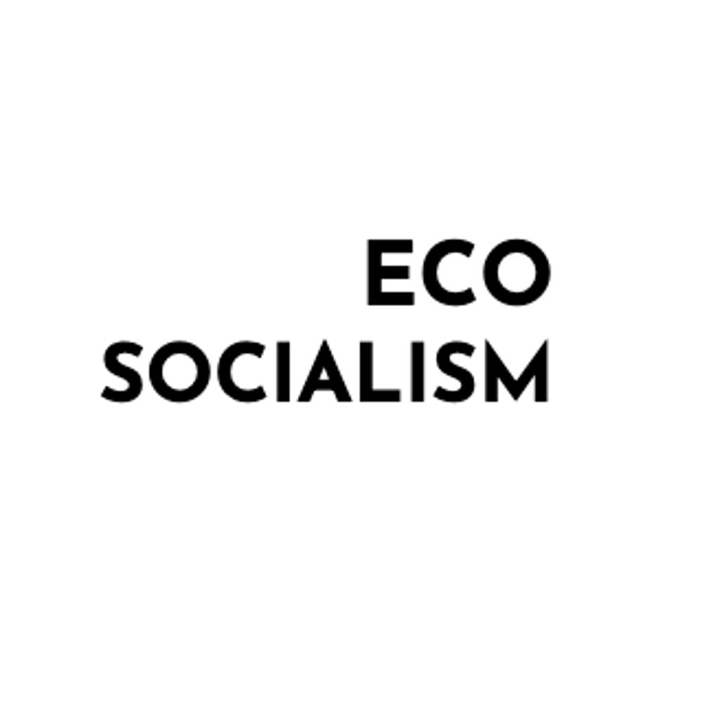 Ecosocialism