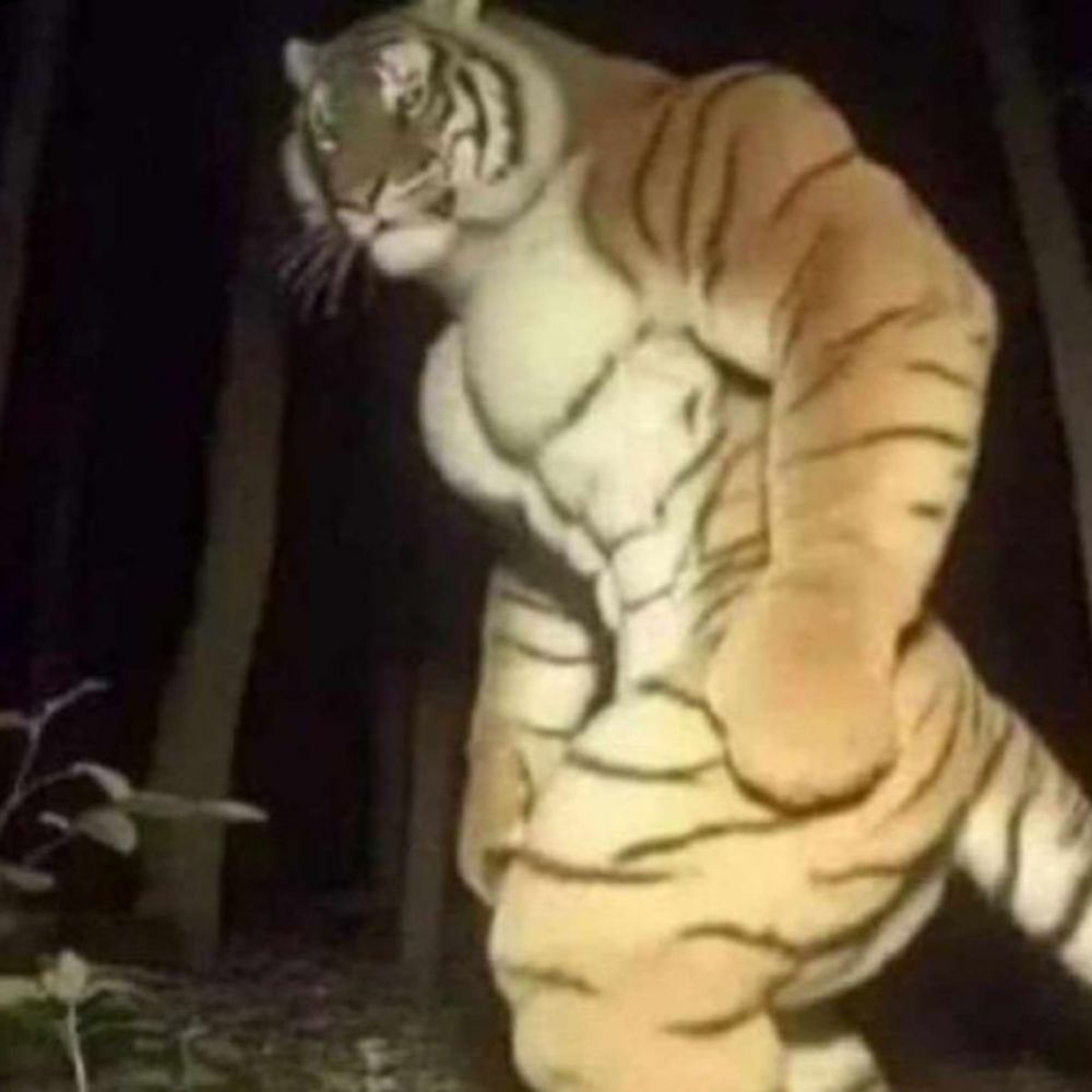 Boofbuff