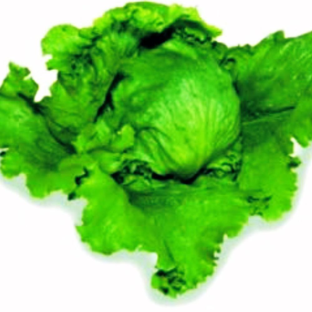 れ