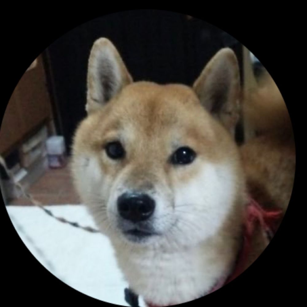 なーこ,ker